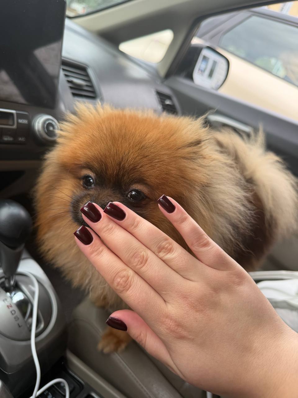 Работа Marquise Nails 7