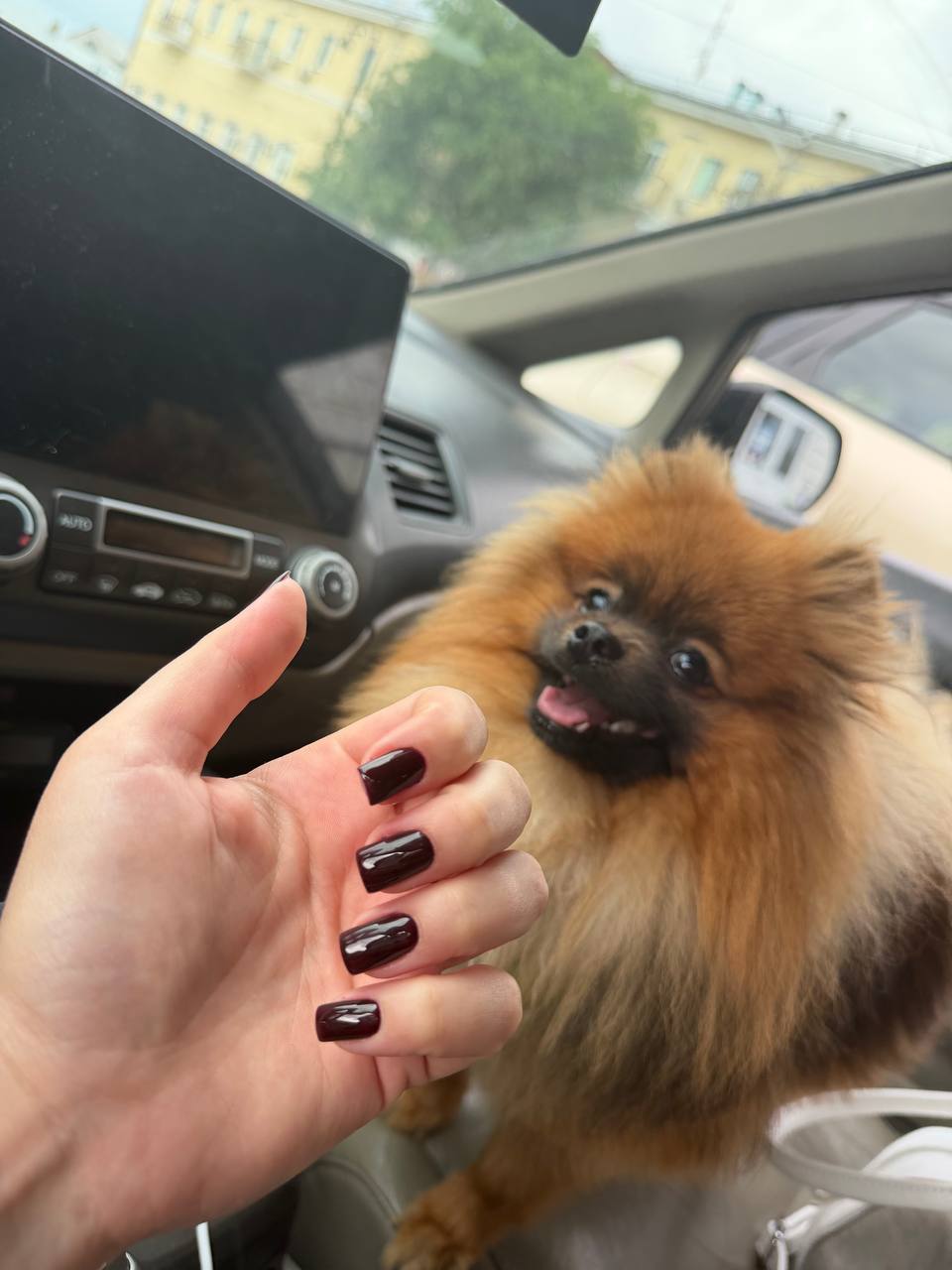 Работа Marquise Nails 9